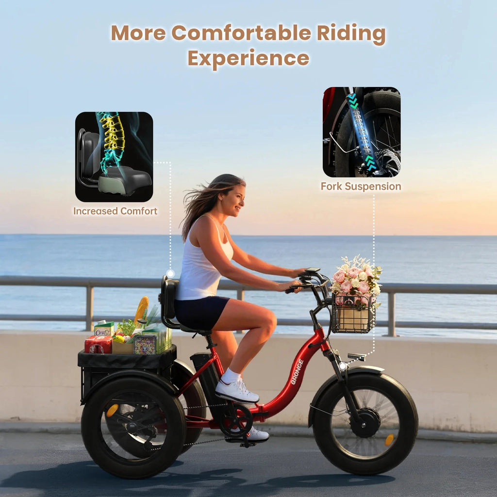 QRONGE Electric Bike for Adults 960W Peak 36V 13.5AH Battery, Folding Electric Fat Tire Tricycle, 50 Miles Range