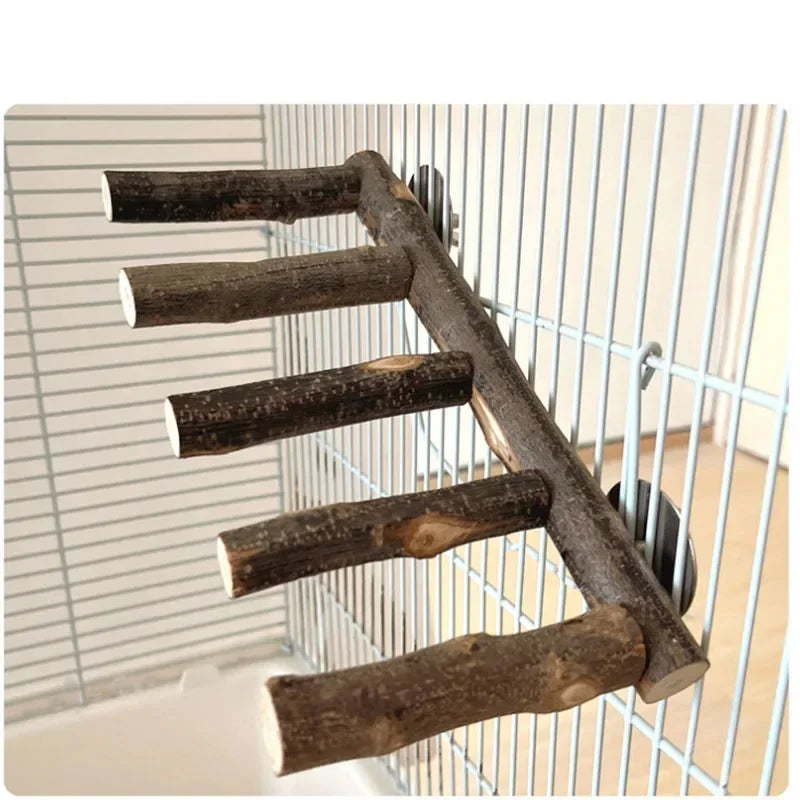 Natural Apple Wood Pet Parrot Raw Wood Fork Tree Branch Stand Rack