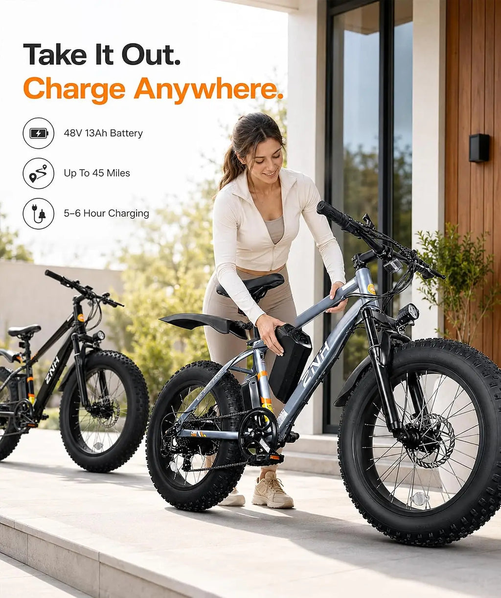 Electric Bike for Adults, 1000W Peak Motor 25Mph 65 Miles Fat Tire Ebike with 48V 15Ah Removable Battery, 20"/24",