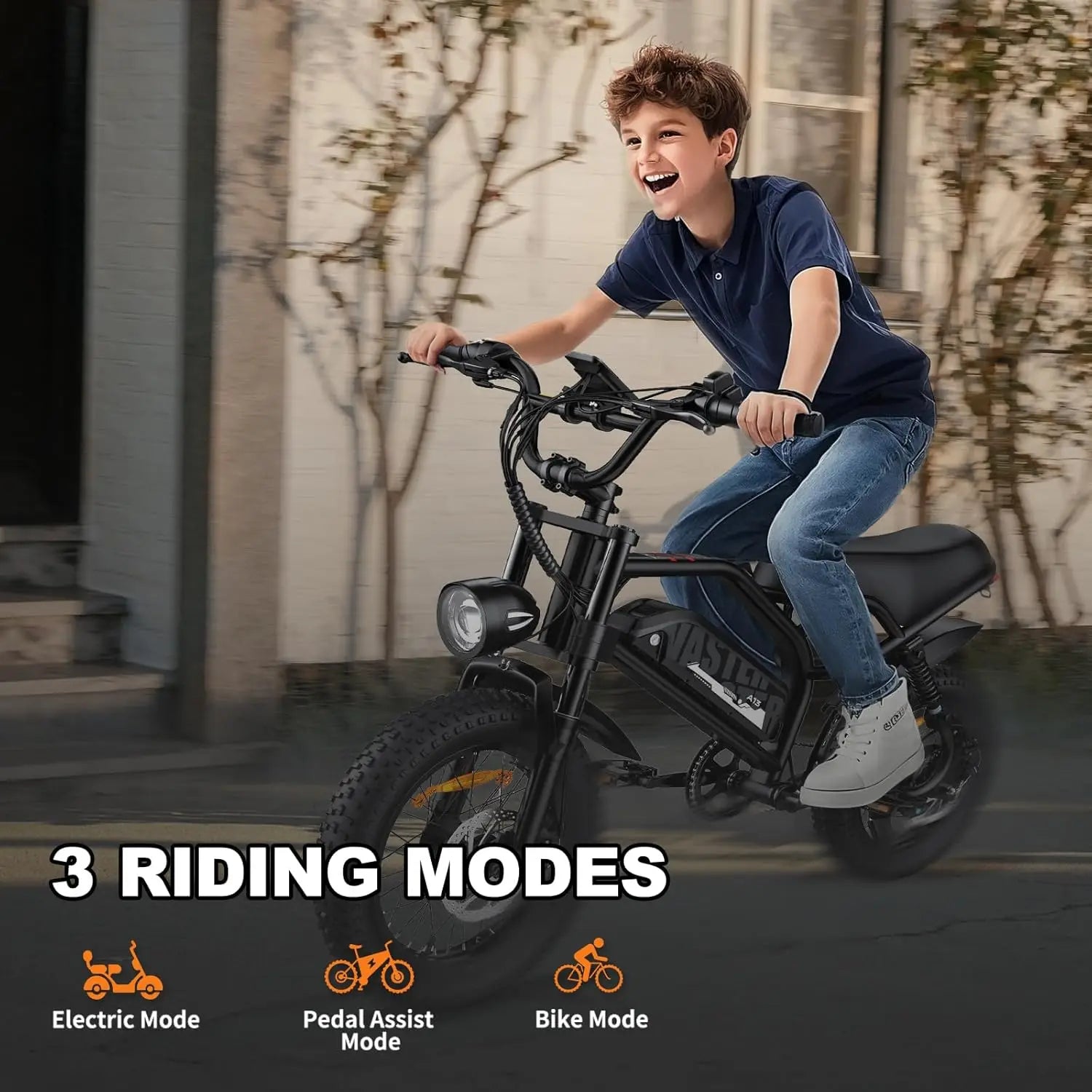 Electric Bike, A13 16'' 1000W Peak Fat Tire E-Bike with 36V/12.8Ah Removable Battery,