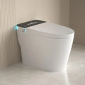 Elongated Smart Toilet with Built in Bidet, Heated Seat,Smart Toilets Bidet Seat 1.28 GPF, Tankless Design,, Customized