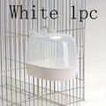 Transparent Bird Bath Tub