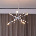 Modern Designer LED Ceiling Chandelier