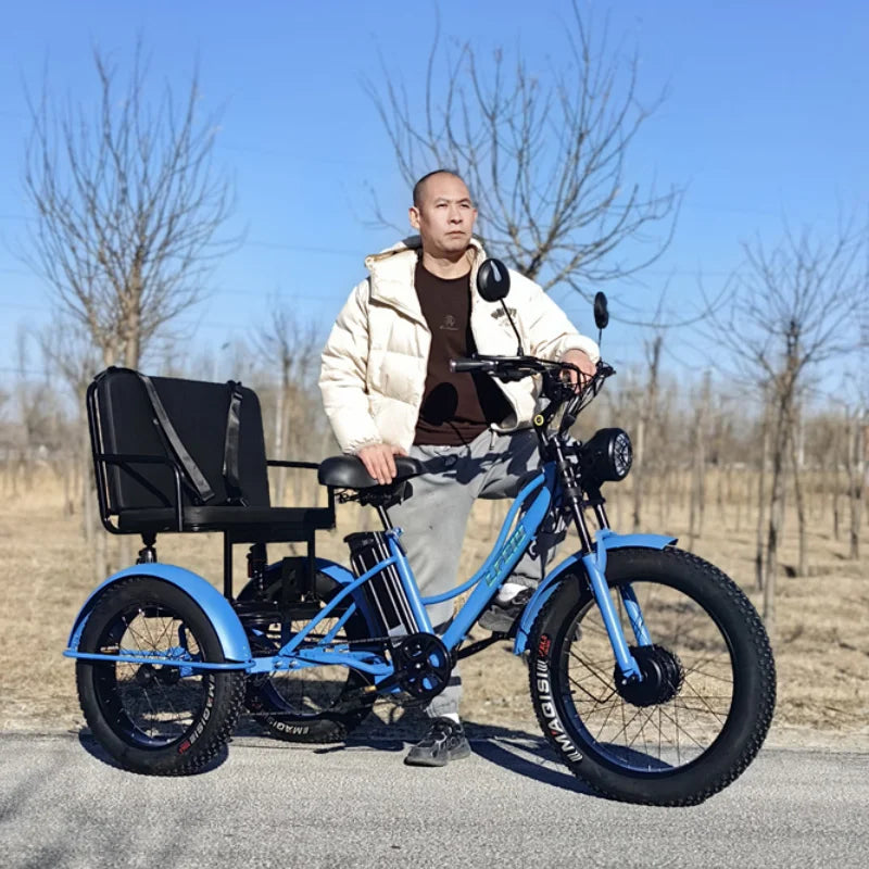 3 Wheels Off Road Electric Bicycle All Terrain With Back Seat For Adults 750W Fat Tire Powerful Electric Bike With Basket