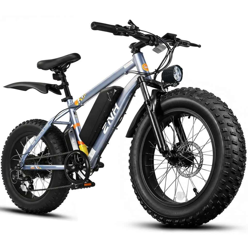 Electric Bike for Adults, 1000W Peak Motor 25Mph 65 Miles Fat Tire Ebike with 48V 15Ah Removable Battery, 20"/24",