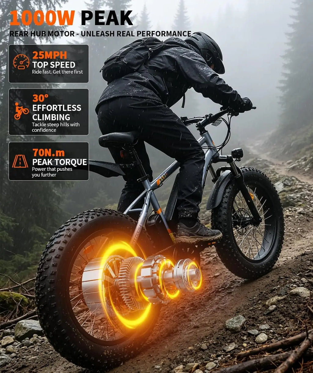 Electric Bike for Adults, 1000W Peak Motor 25Mph 65 Miles Fat Tire Ebike with 48V 15Ah Removable Battery, 20"/24",