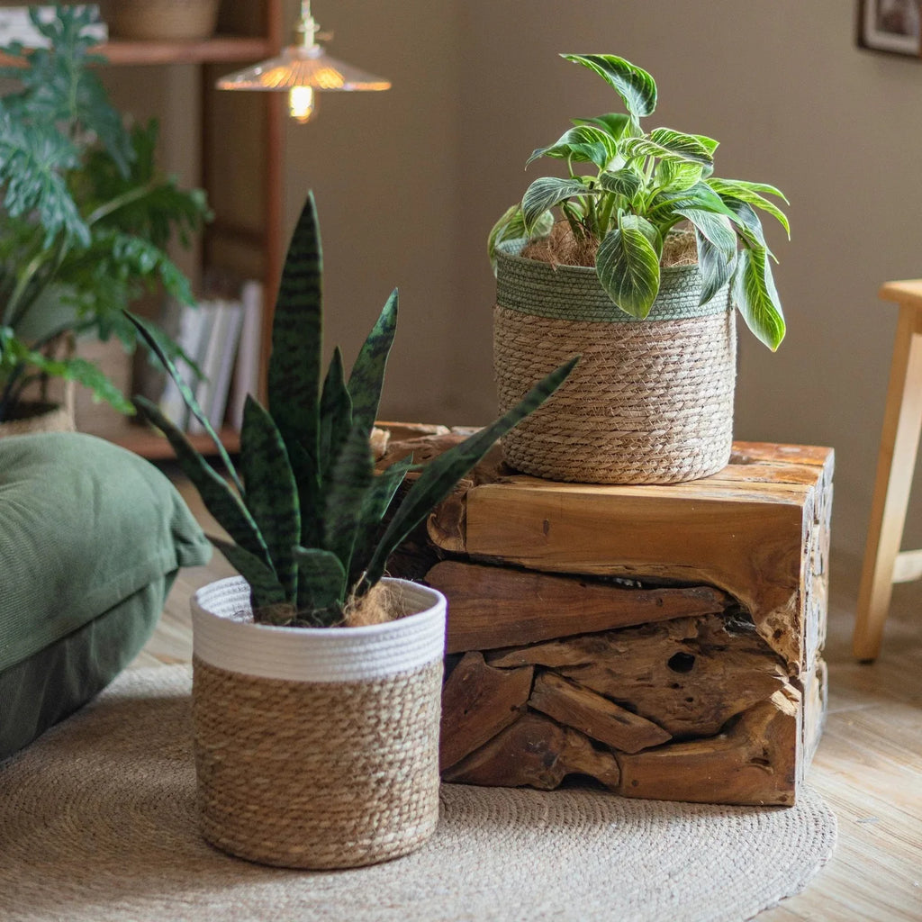 Natural Straw Storage Basket - Woven Planter Flower Pot