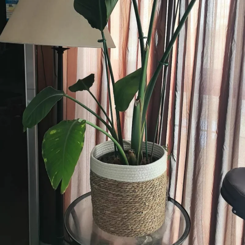 Natural Straw Storage Basket - Woven Planter Flower Pot