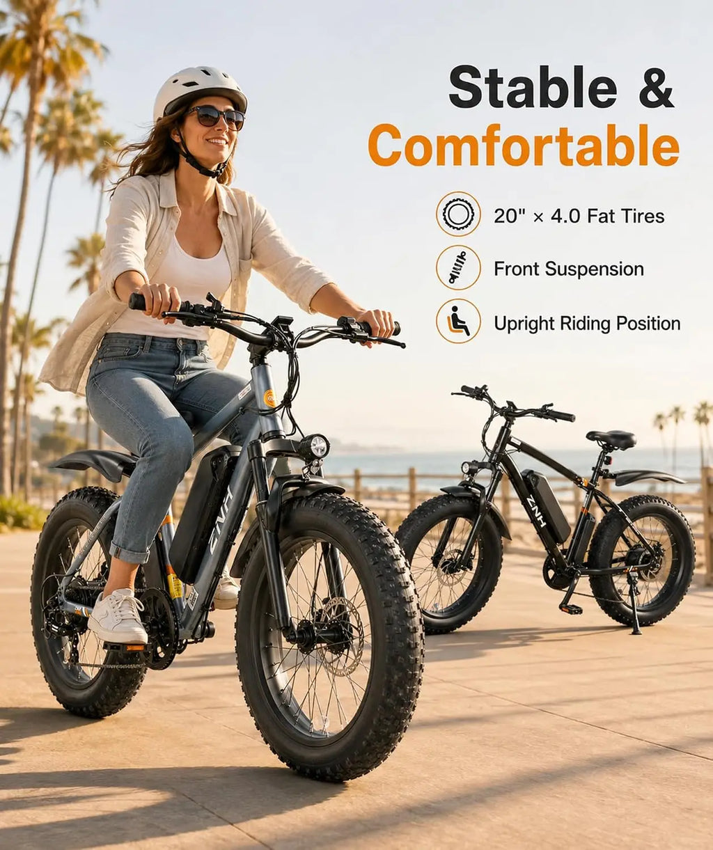 Electric Bike for Adults, 1000W Peak Motor 25Mph 65 Miles Fat Tire Ebike with 48V 15Ah Removable Battery, 20"/24",