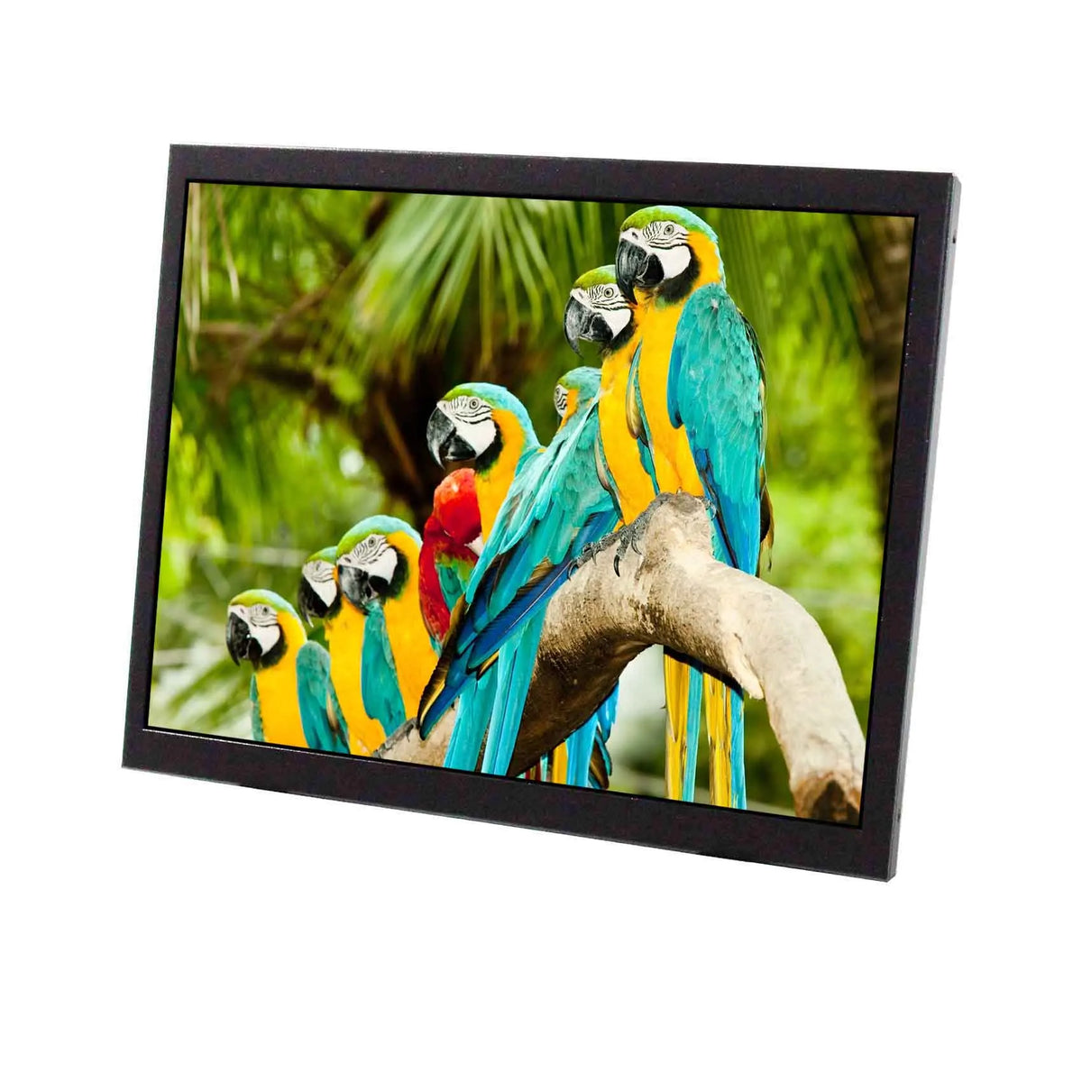 9.7" 2048X1536 2K 4:3 IPS DIY LCD Monitor