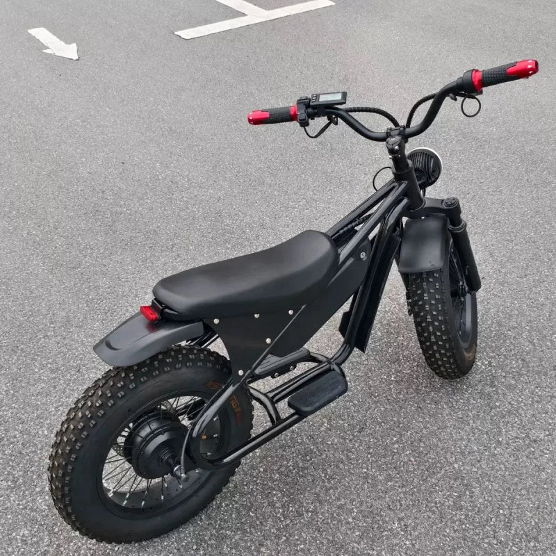 16-inch retro E-Bike, 800W smart motor