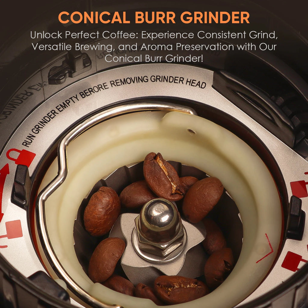 BioloMix Electric Conical Burr Coffee Grinder