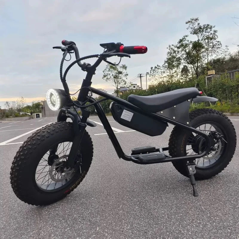 16-inch retro E-Bike, 800W smart motor