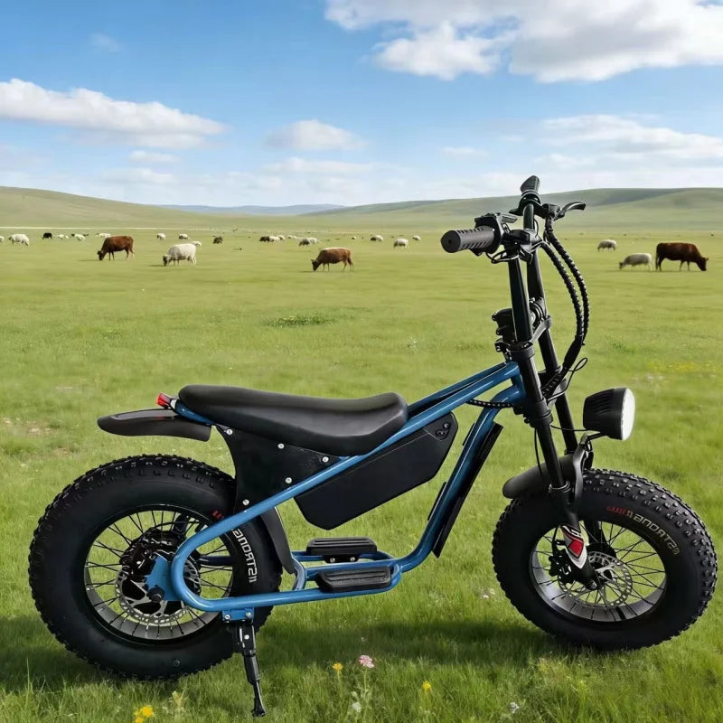 16-inch retro E-Bike, 800W smart motor