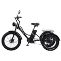 3 Wheels Off Road Electric Bicycle All Terrain With Back Seat For Adults 750W Fat Tire Powerful Electric Bike With Basket