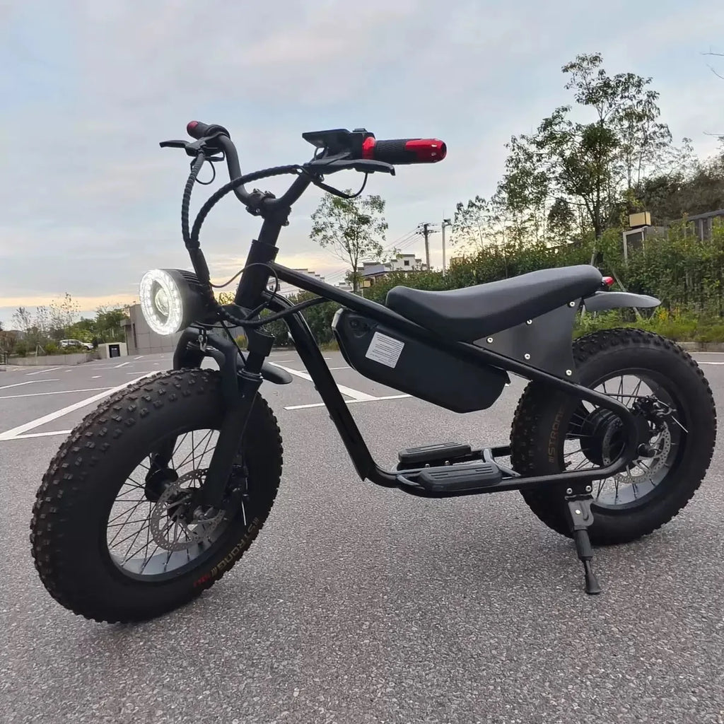 16-inch retro E-Bike, 800W smart motor