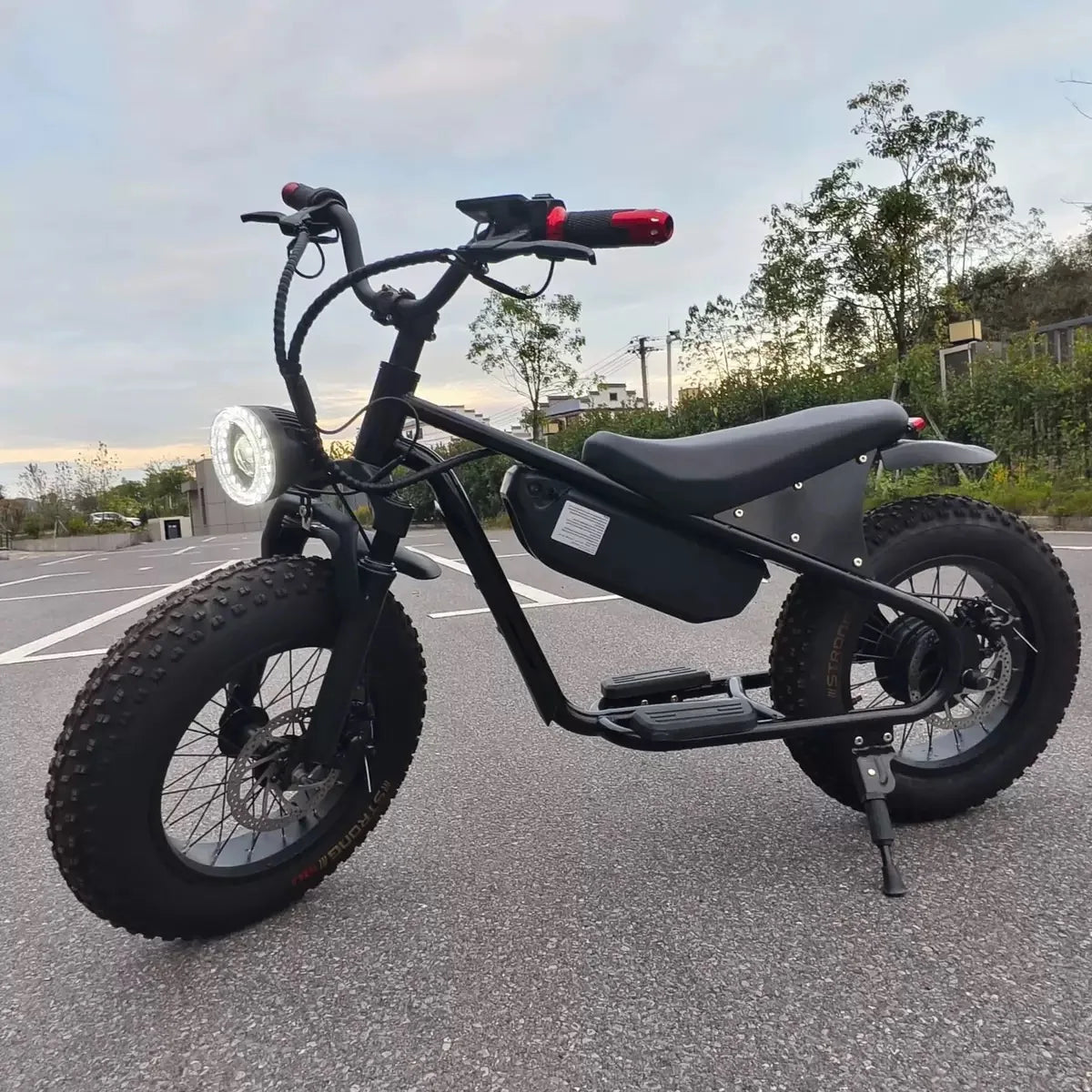 16-inch retro E-Bike, 800W smart motor
