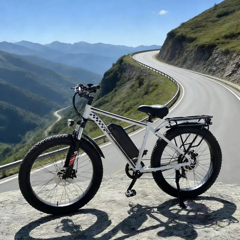 1000W powerful motor 26-inch mountain off-road E-Bike, 48V15AH battery