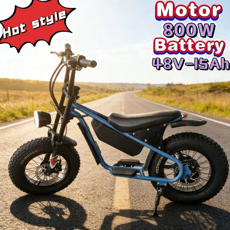 16-inch retro E-Bike, 800W smart motor