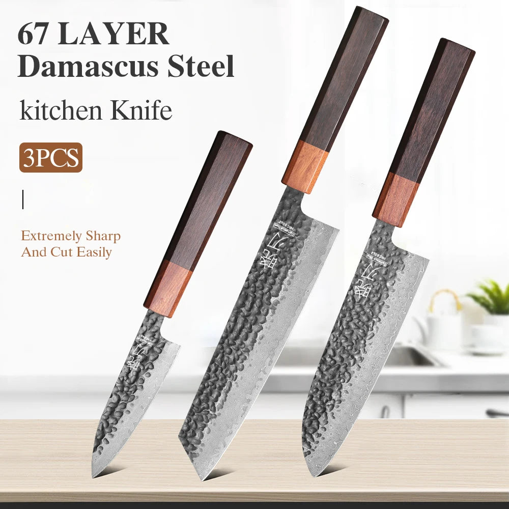 1PC-3PCS Professional Kitchen Knives Set Japanese Handmade 67 Layer Damascus Steel Kiritsuke Chef Knife Santoku Paring Knife