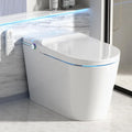 Luxury Smart Toilet Built In, Bidet with Heated Seat,Warm Water Sprayer & Dryer,