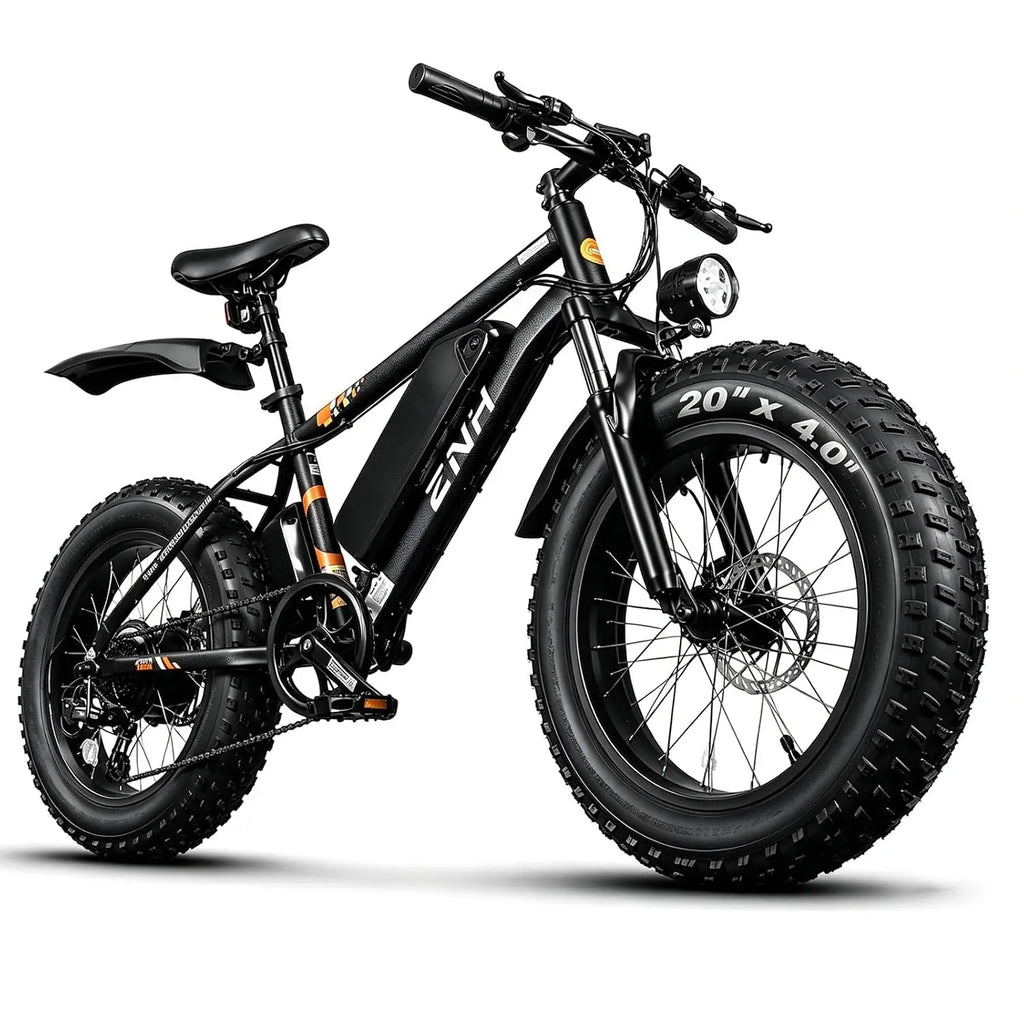 Electric Bike for Adults, 1000W Peak Motor 25Mph 65 Miles Fat Tire Ebike with 48V 15Ah Removable Battery, 20"/24",