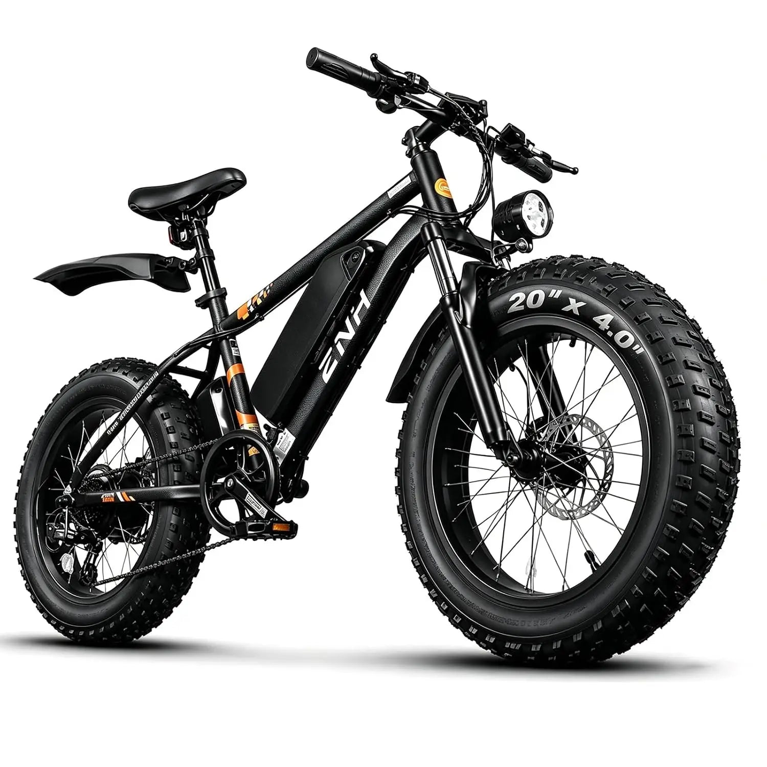 Electric Bike for Adults, 1000W Peak Motor 25Mph 65 Miles Fat Tire Ebike with 48V 15Ah Removable Battery, 20"/24",