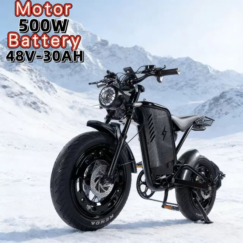 20-inch 4.0 sand fat tire E-Bike, 500W motor 48V30AH large capacity battery electric bicycle,