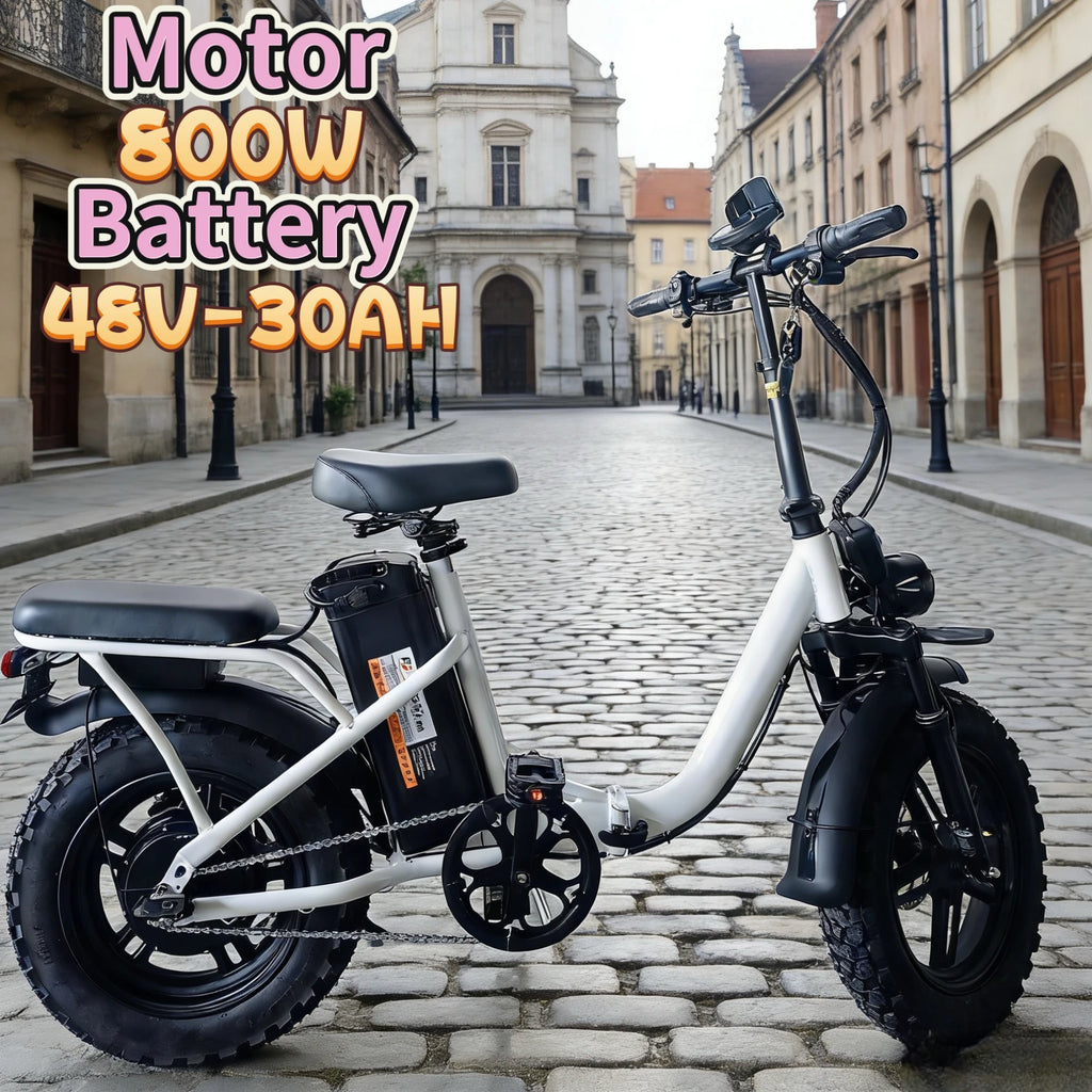 16-inch foldable leisure E-Bike, 48V30AH large capacity battery, built-in 800W high-speed motor