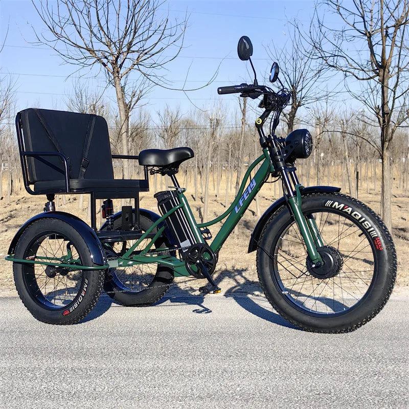 3 Wheels Off Road Electric Bicycle All Terrain With Back Seat For Adults 750W Fat Tire Powerful Electric Bike With Basket