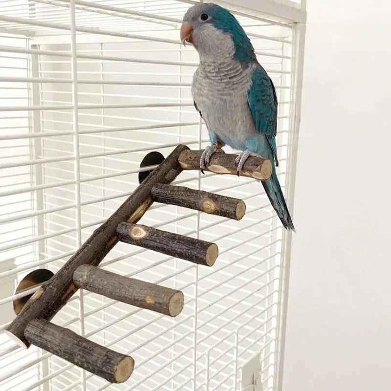Natural Apple Wood Pet Parrot Raw Wood Fork Tree Branch Stand Rack
