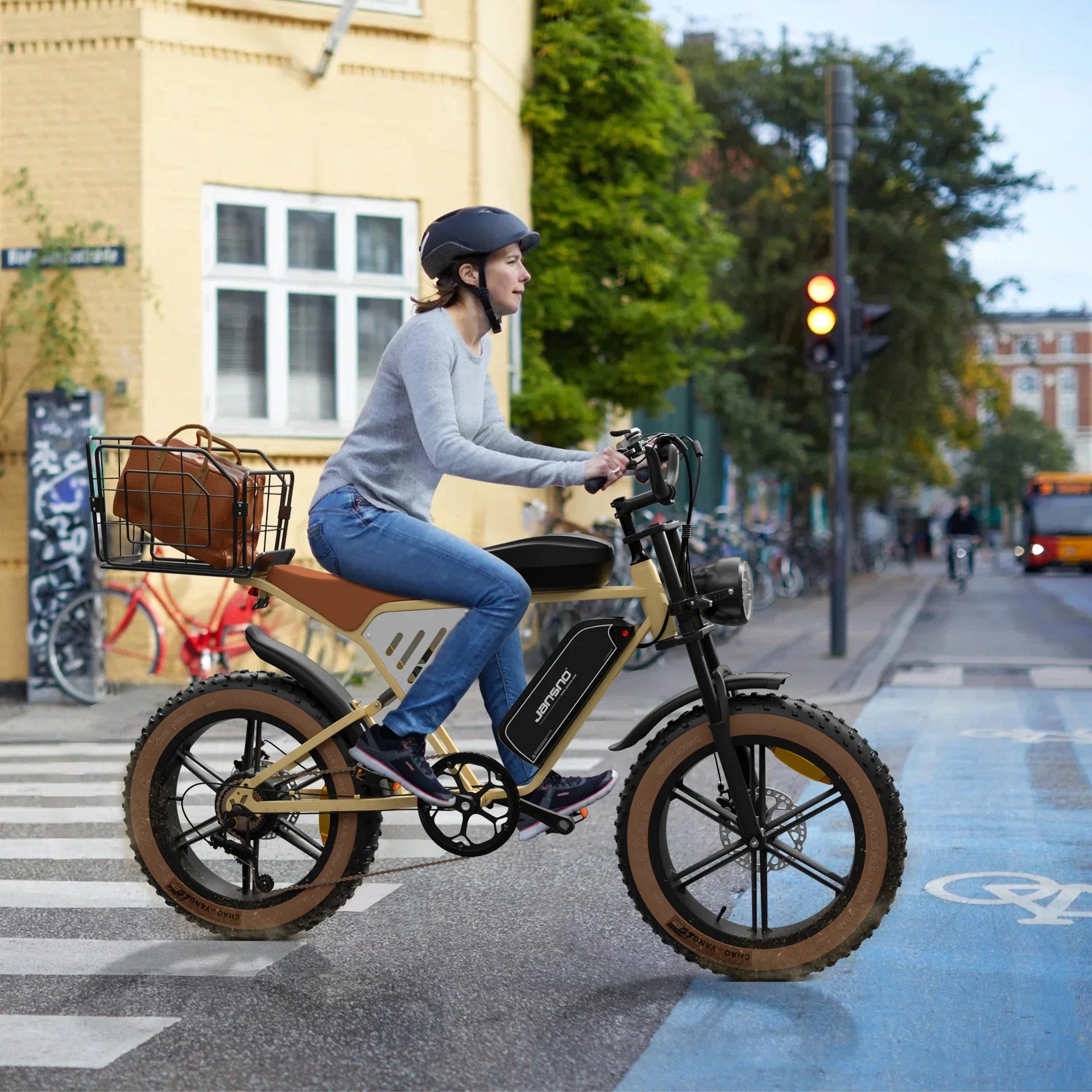 Jansno X70G Adult electric bike 750W City ebike removable dual Battery: 48v14Ah+48v20Ah 20 inches fat tire E-Mountain bike
