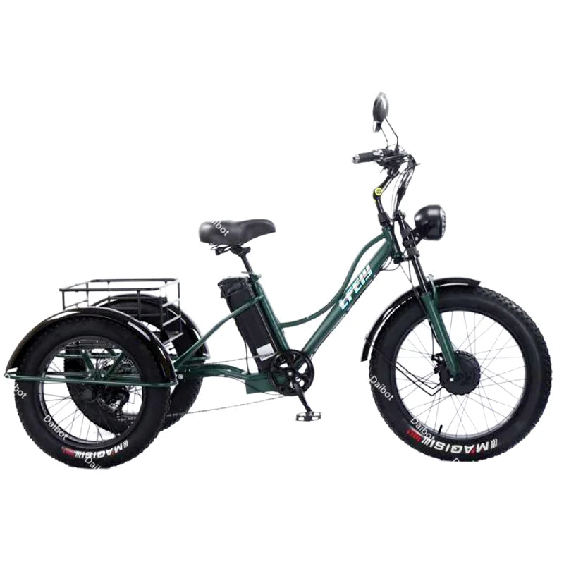 3 Wheels Off Road Electric Bicycle All Terrain With Back Seat For Adults 750W Fat Tire Powerful Electric Bike With Basket
