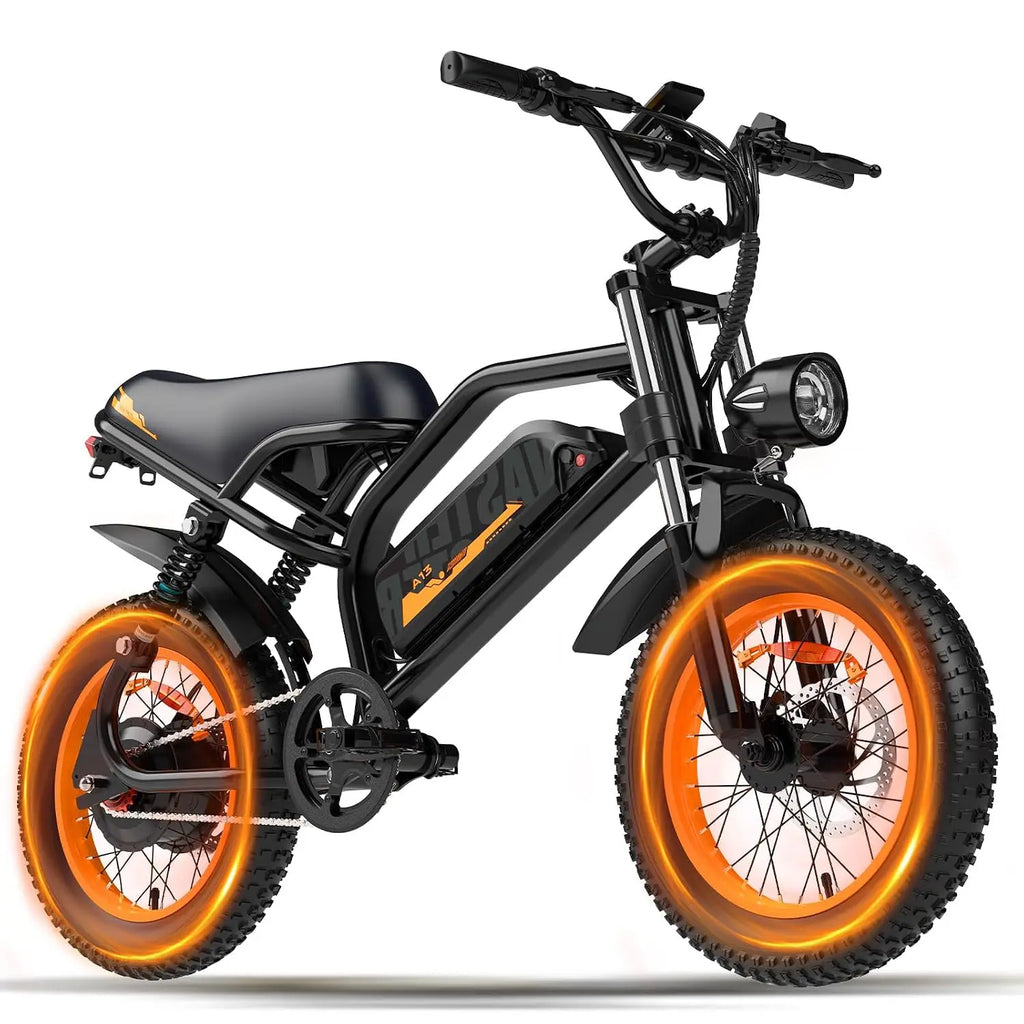 Electric Bike, A13 16'' 1000W Peak Fat Tire E-Bike with 36V/12.8Ah Removable Battery,