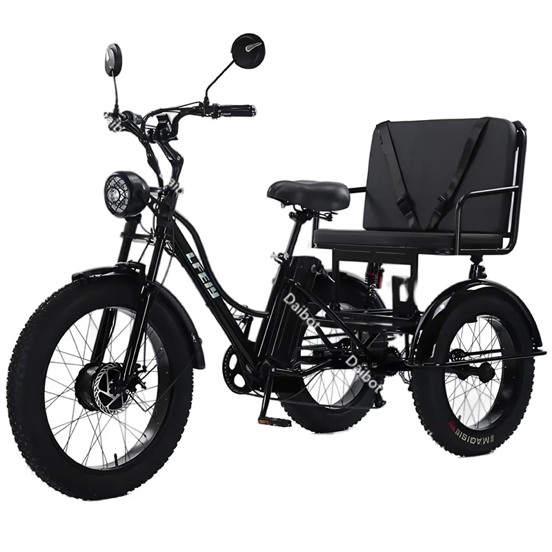 3 Wheels Off Road Electric Bicycle All Terrain With Back Seat For Adults 750W Fat Tire Powerful Electric Bike With Basket