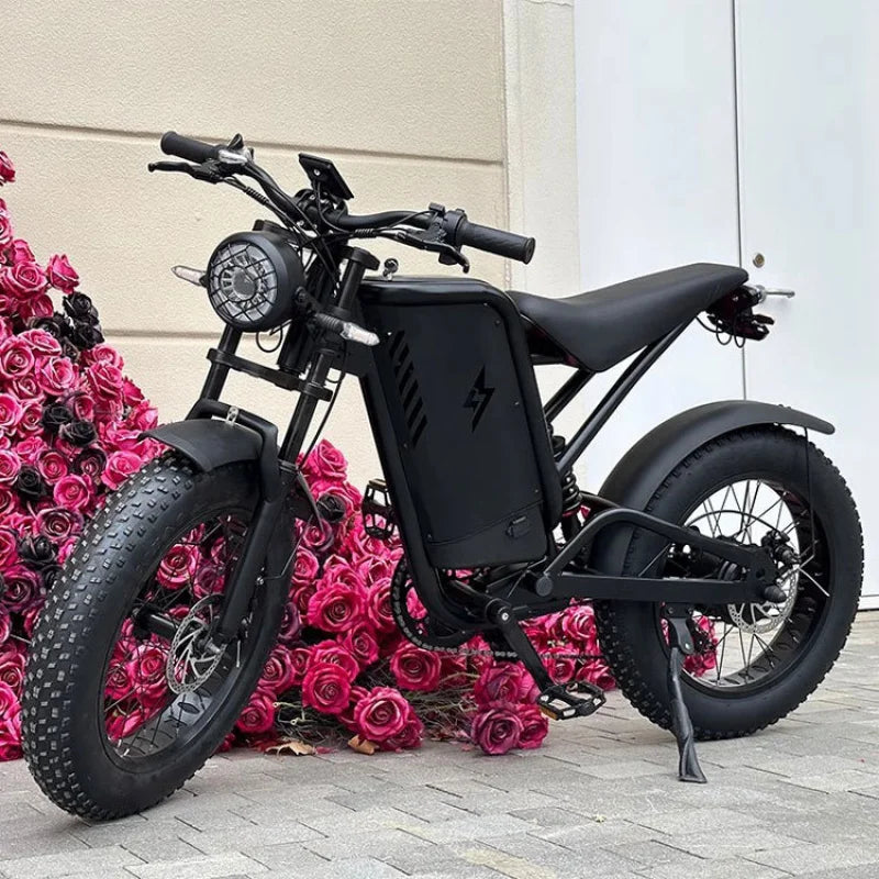 20-inch 4.0 sand fat tire E-Bike, 500W motor 48V30AH large capacity battery electric bicycle,