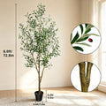 Artificial Indoor Olive Trees, 5.25/6.10/7.10FT Tall Faux Olive Tree with Black Pot,