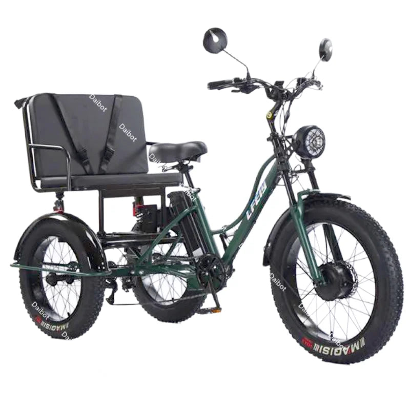 3 Wheels Off Road Electric Bicycle All Terrain With Back Seat For Adults 750W Fat Tire Powerful Electric Bike With Basket